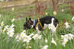 Je suis sûre qu'elle a caché un gâteau.