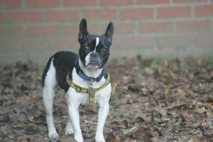 Attention le soleil tape dur.