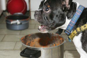 Avec un froid pareil je joue au sous-marin sous couette.