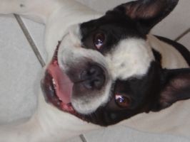 Pas de commentaire. Pas de commentaire.