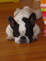 Pas de commentaire. Pas de commentaire.