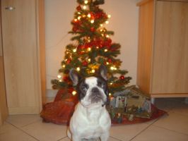 Pas de commentaire. Pas de commentaire.