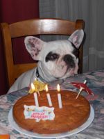 Pas de commentaire. Pas de commentaire.