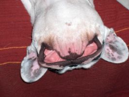 Pas de commentaire. Pas de commentaire.