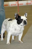 Petite méditation zen! Petite méditation zen!