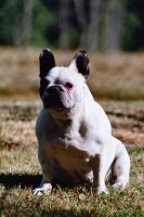 C'est mon côté chien de garde. C'est mon côté chien de garde.