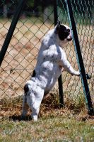 Bain de soleil. Bain de soleil.