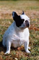 La mer et un bâton le bonheur! La mer et un bâton le bonheur!