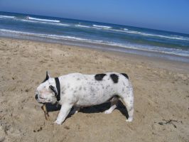 La plus belle fleur de maman ''c'est moi''. La plus belle fleur de maman ''c'est moi''.
