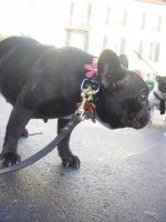 Pas de commentaire. Pas de commentaire.