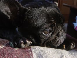 Pas de commentaire. Pas de commentaire.