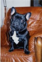 Vous me voyez? Je suis dans les bras d'un carnavaleu à Dunkerque! Vous me voyez? Je suis dans les bras d'un carnavaleu à Dunkerque!