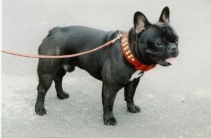 Ne vous trompez pas le beau gosse, enfin moi, il est à gauche de la photo hi, hi, hi. Ne vous trompez pas le beau gosse, enfin moi, il est à gauche de la photo hi, hi, hi.