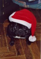 Je suis toujours aussi canon et pourtant j'ai 7 ans. Je suis toujours aussi canon et pourtant j'ai 7 ans.