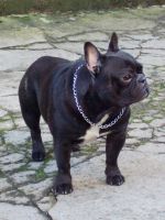 Pas de commentaire. Pas de commentaire.