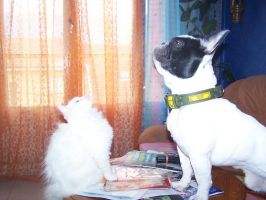 En noir et blanc je suis fidèle à moi même.