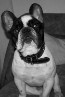 Souvenirs d'enfance de mes deux mois.