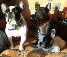 A la maison je dors même debout.