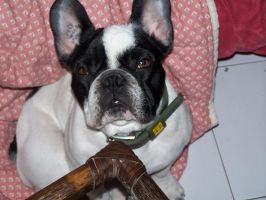 Ma petite soeur Clara.