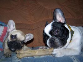 Mon meilleur profil.