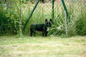 Attention je bronze. Attention je bronze.