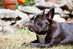 Après la bronzette je rafraichis. Après la bronzette je rafraichis.