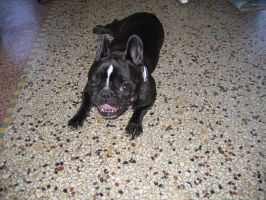 Elle est un peu froide! Elle est un peu froide!