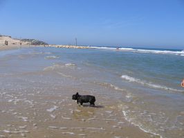 L'amour c'est ça! L'amour c'est ça!