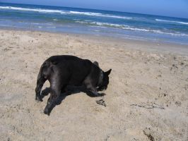 Pas de commentaire. Pas de commentaire.