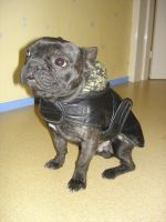 Il pleut dehors. Il pleut dehors.