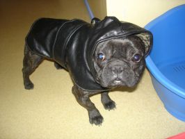 La grimace. La grimace.