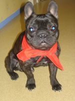 L'air malheureux. L'air malheureux.