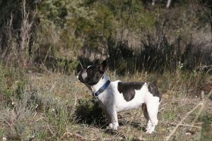 Pas de commentaire. Pas de commentaire.