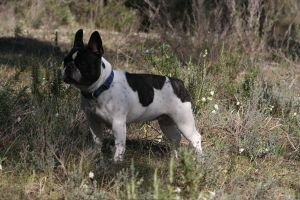 Pas de commentaire. Pas de commentaire.