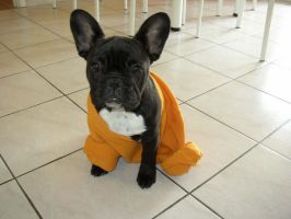 Pas de commentaire. Pas de commentaire.