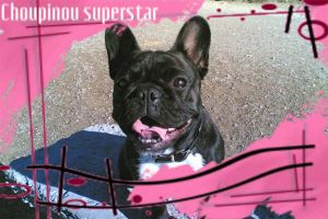 Pas de commentaire. Pas de commentaire.