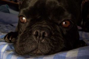 En automne. En automne.