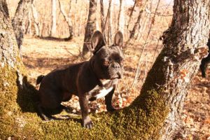 Je suis la reine du football. Je suis la reine du football.