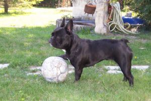 Mon profil. Mon profil.