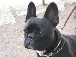 Avec mon 'ros frère. Avec mon 'ros frère.