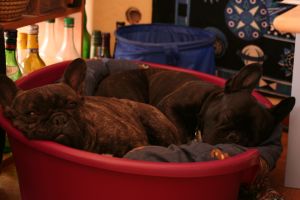 J'adore nager. J'adore nager.