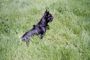 Pas de commentaire. Pas de commentaire.