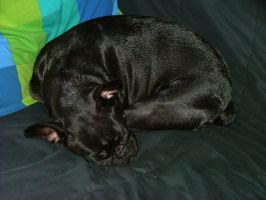 Pas de commentaire. Pas de commentaire.