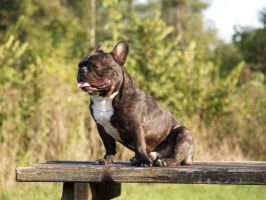 Même pas froid. Même pas froid.