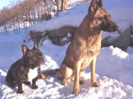 Un petit soleil d'automne, ça réchauffe. Un petit soleil d'automne, ça réchauffe.