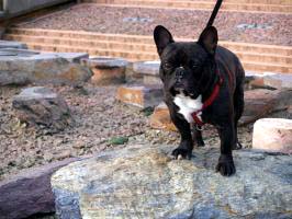 Juste à ma taille et en plus le rouge me va si bien. Juste à ma taille et en plus le rouge me va si bien.