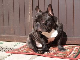 C'est mon meilleur profil. C'est mon meilleur profil.