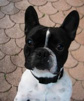 Ulkan me faisant croire qu'il est triste: ''Bon d'accord, tu n'as rien à me donner. Tant pis pour moi. Sniff!!!''