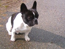 Ulkan le boudeur: ''Non, môman, je ne te parle plus, c'est comme ça!!!''