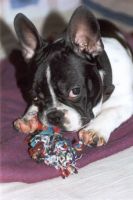 Ulkan le dormeur: ''Ca m'a épuisé tout ça! Je vais faire une petite sieste avec mon doudou!''